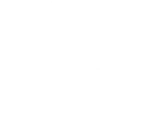 Worldwide Service